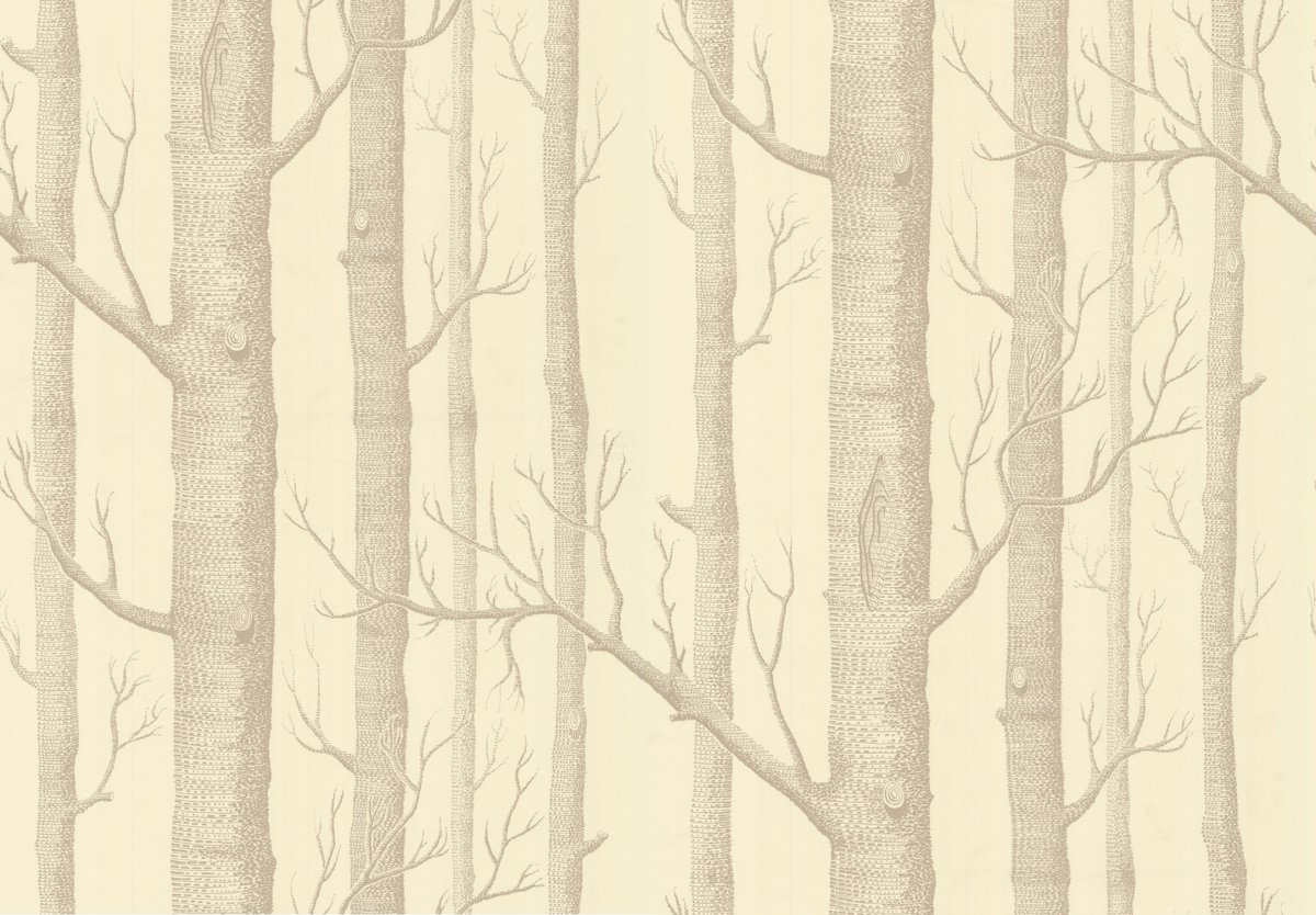 Английские обои Cole & son, коллекция New Contemporary 2, артикул 69/12147