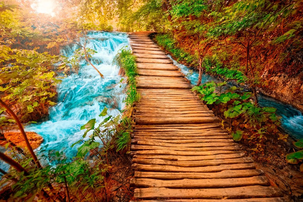 Изображение природы