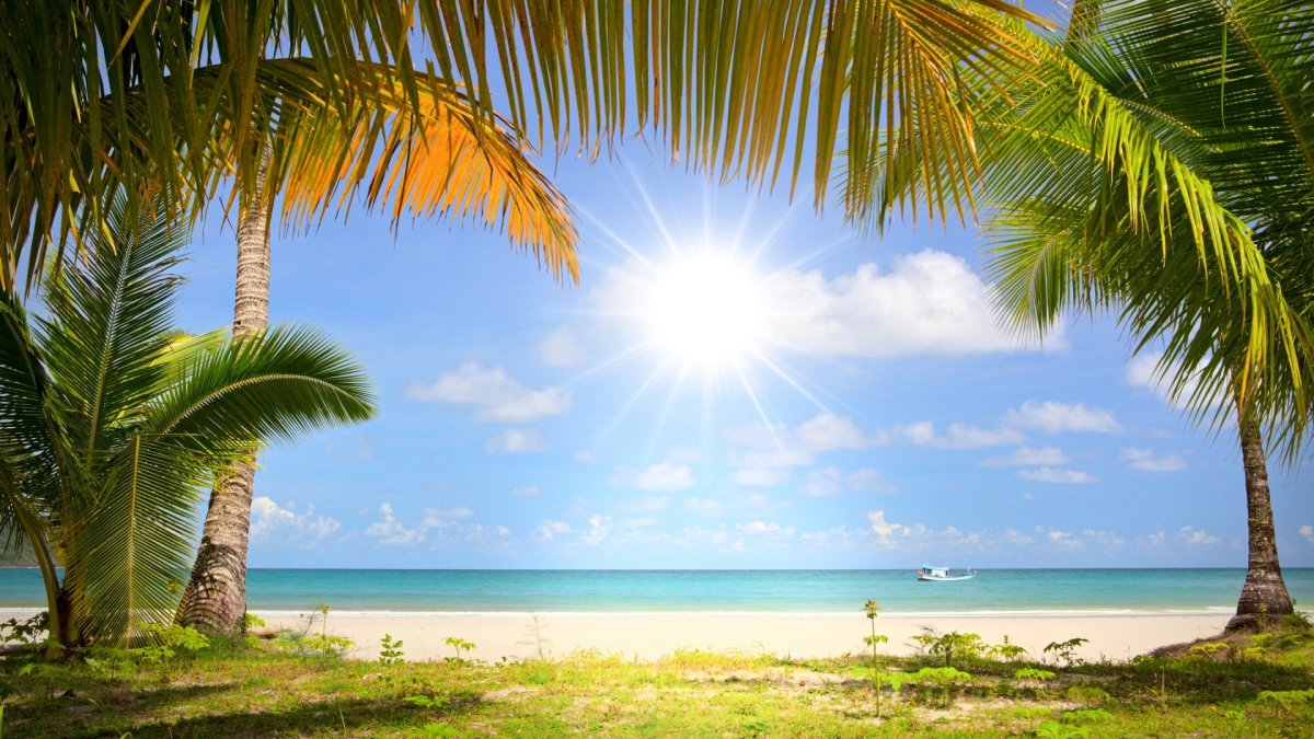 Море солнце