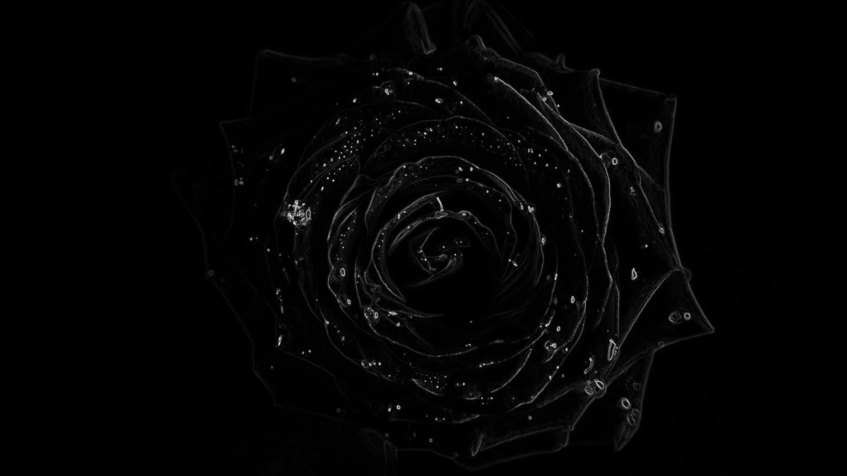 Красивые темные обои