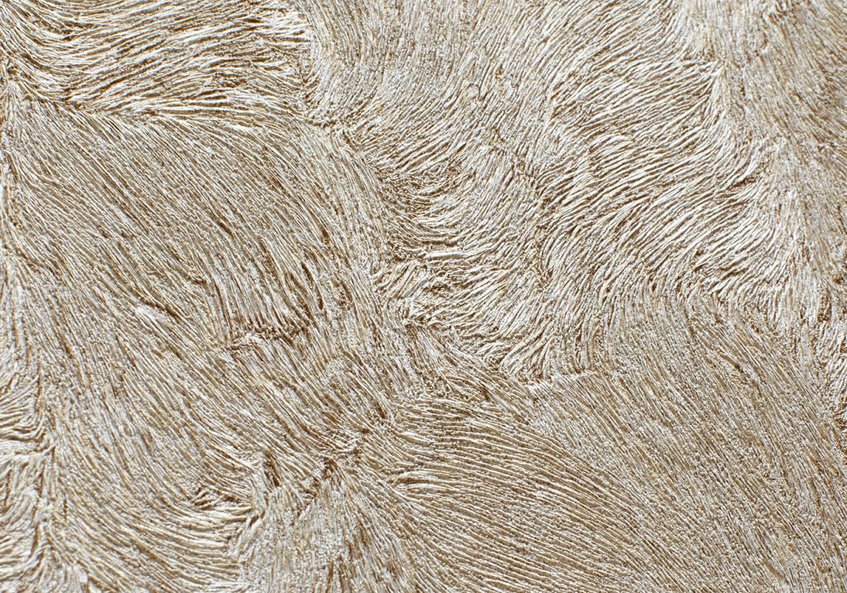 Обои Roberto Cavalli 17005