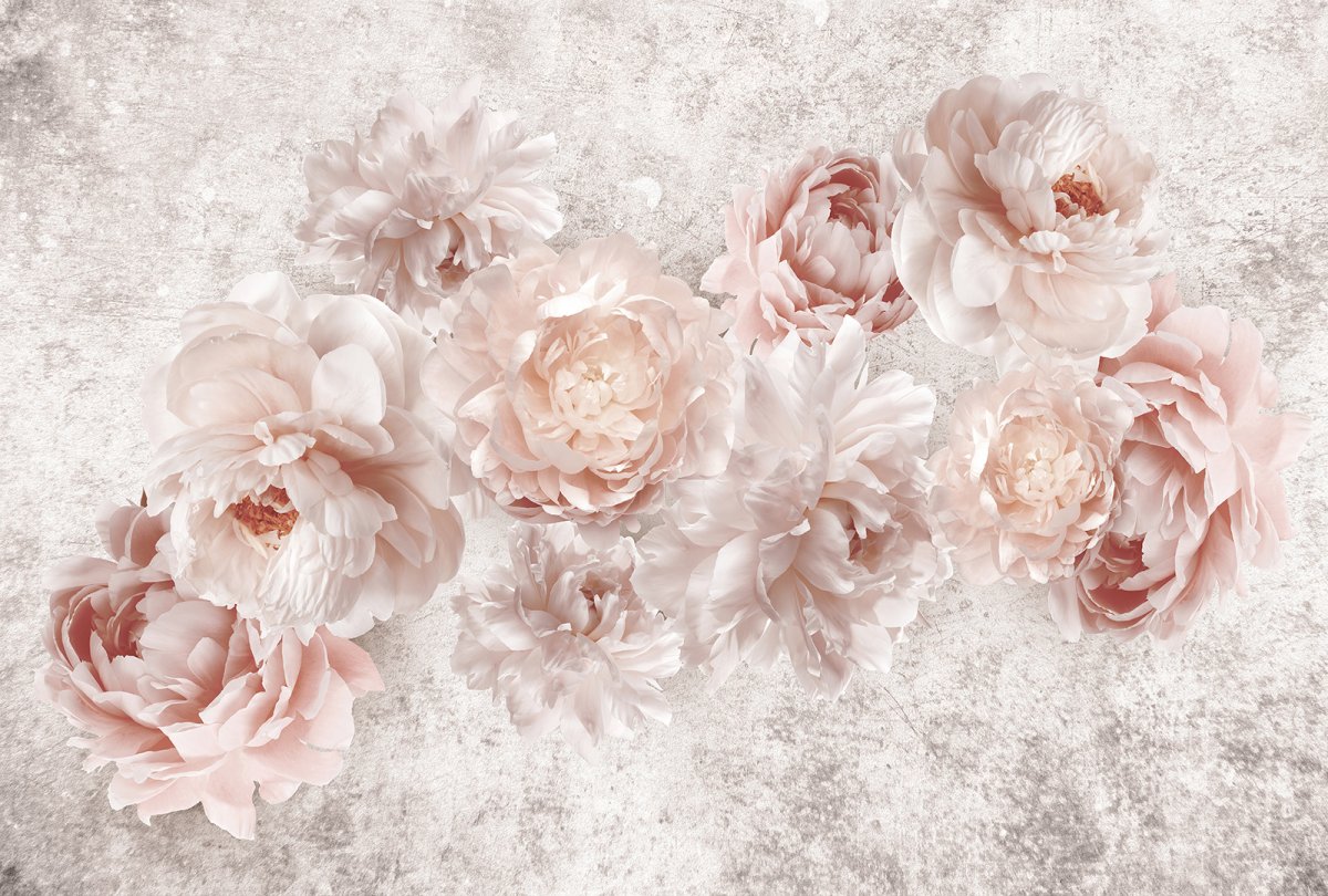 Афреско пионы