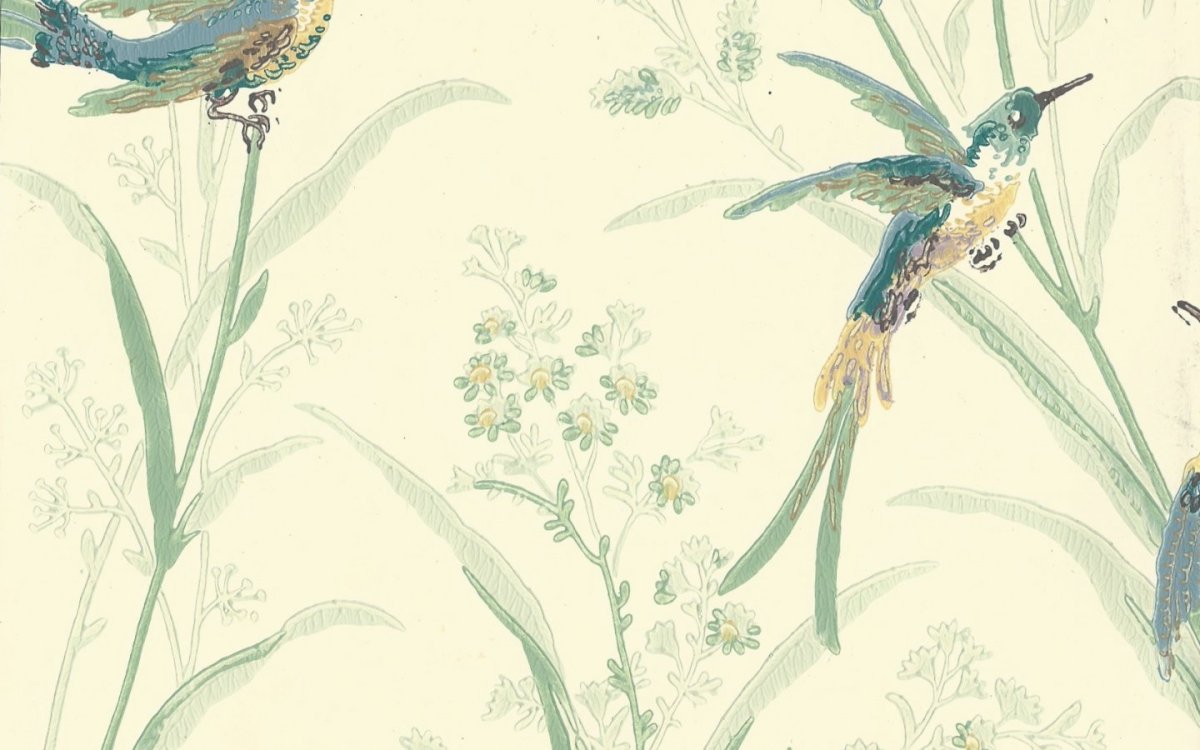 Эмми Стюарт Райские птички