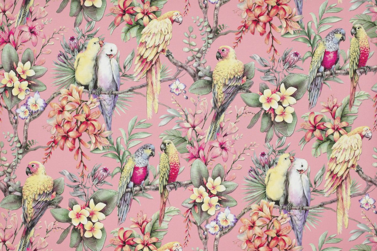 Обои птицы для стен