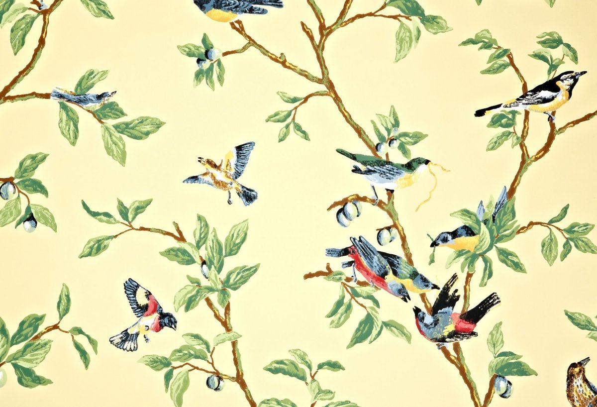 Фон для визиток с птицами вектор