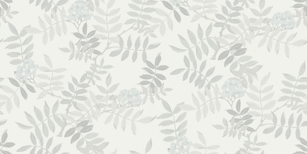 Обои Borastapeter Wonderland 1459