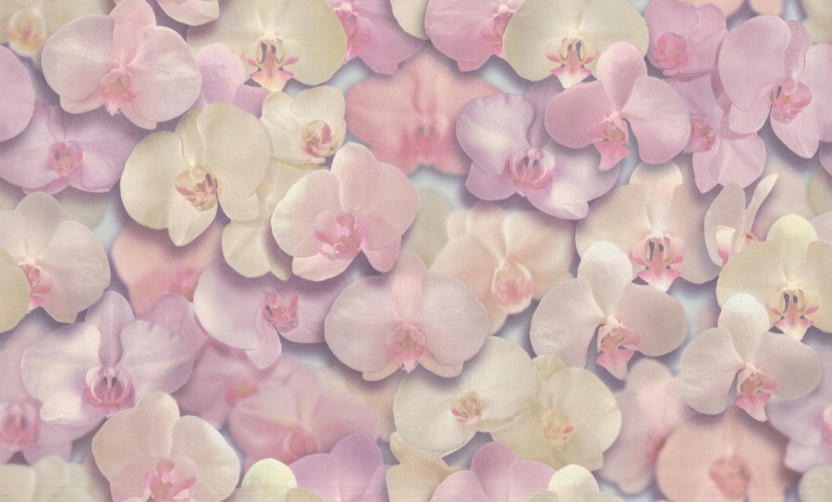 Обои палитра hc71421-10