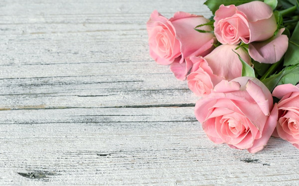 Красивый фон цветы