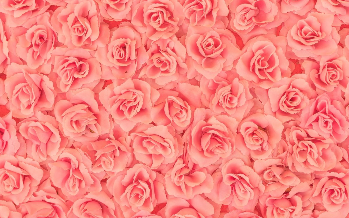 Розовый фон