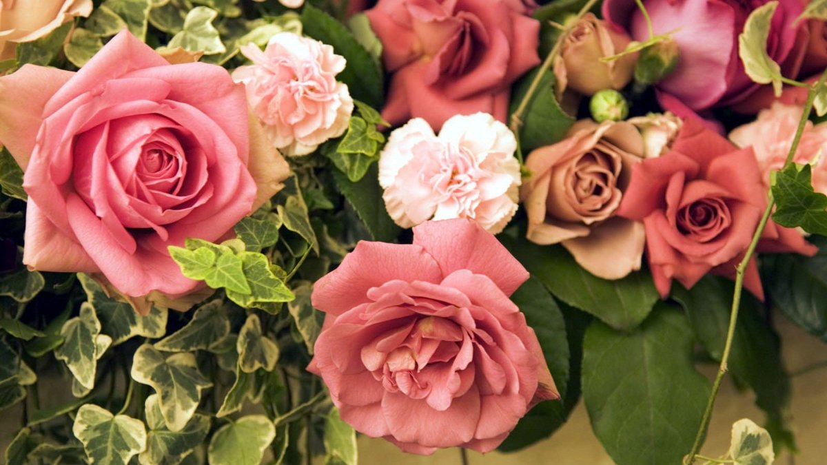 Шикарные цветы