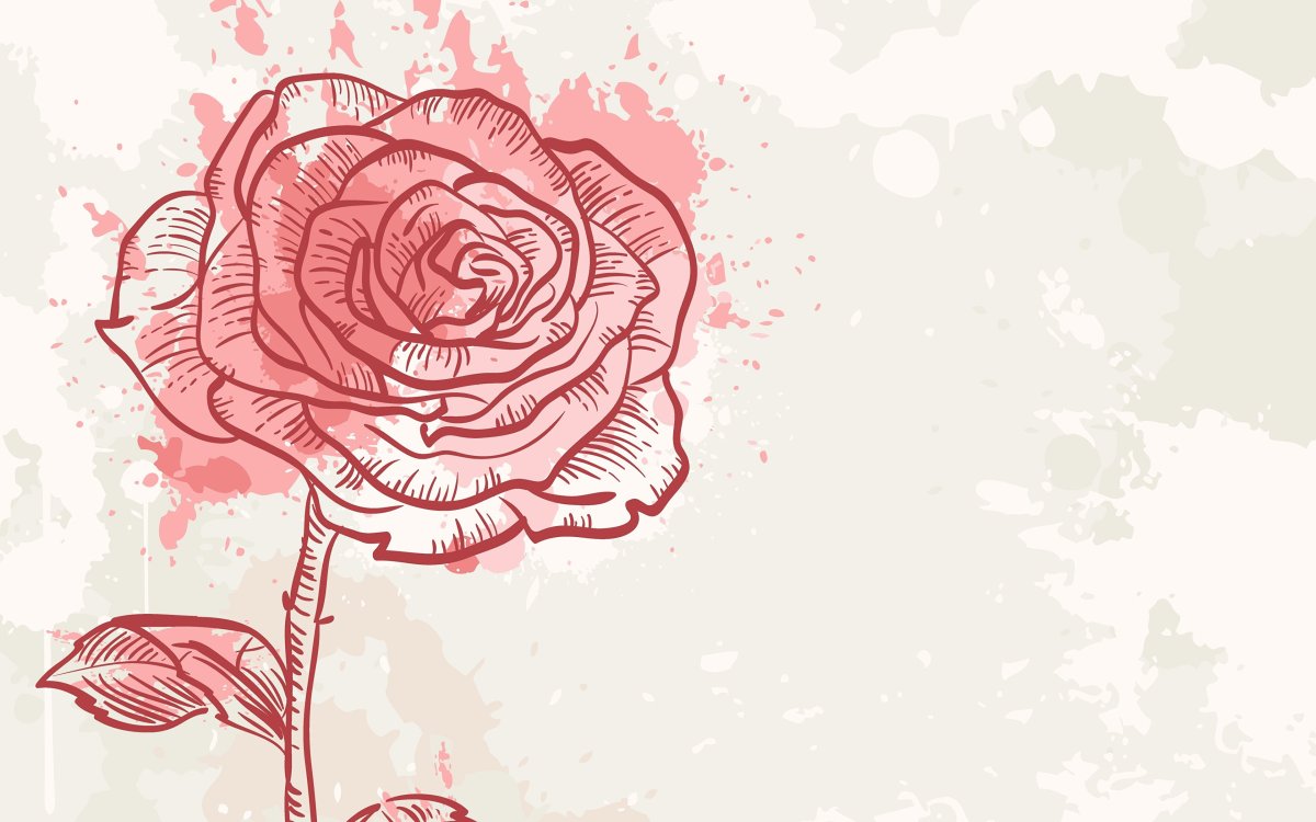 Роза абстракция