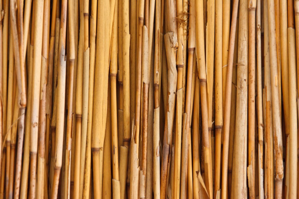 "Bamboo" "Bamboo. Bamboo (LP)"