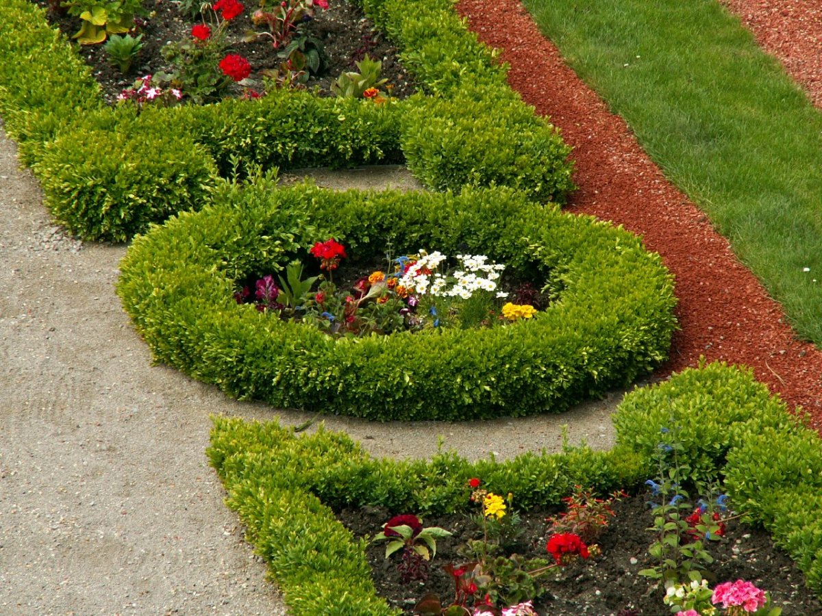 Розарий рабатка