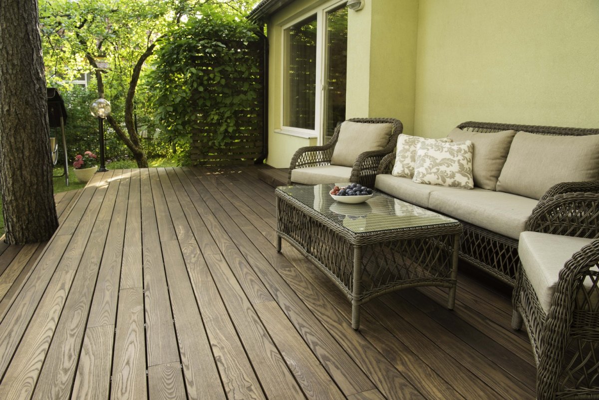 Термоясень виранда