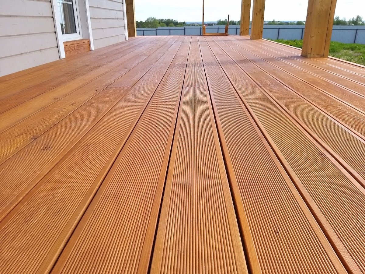 Палубная лиственница сорт Прима