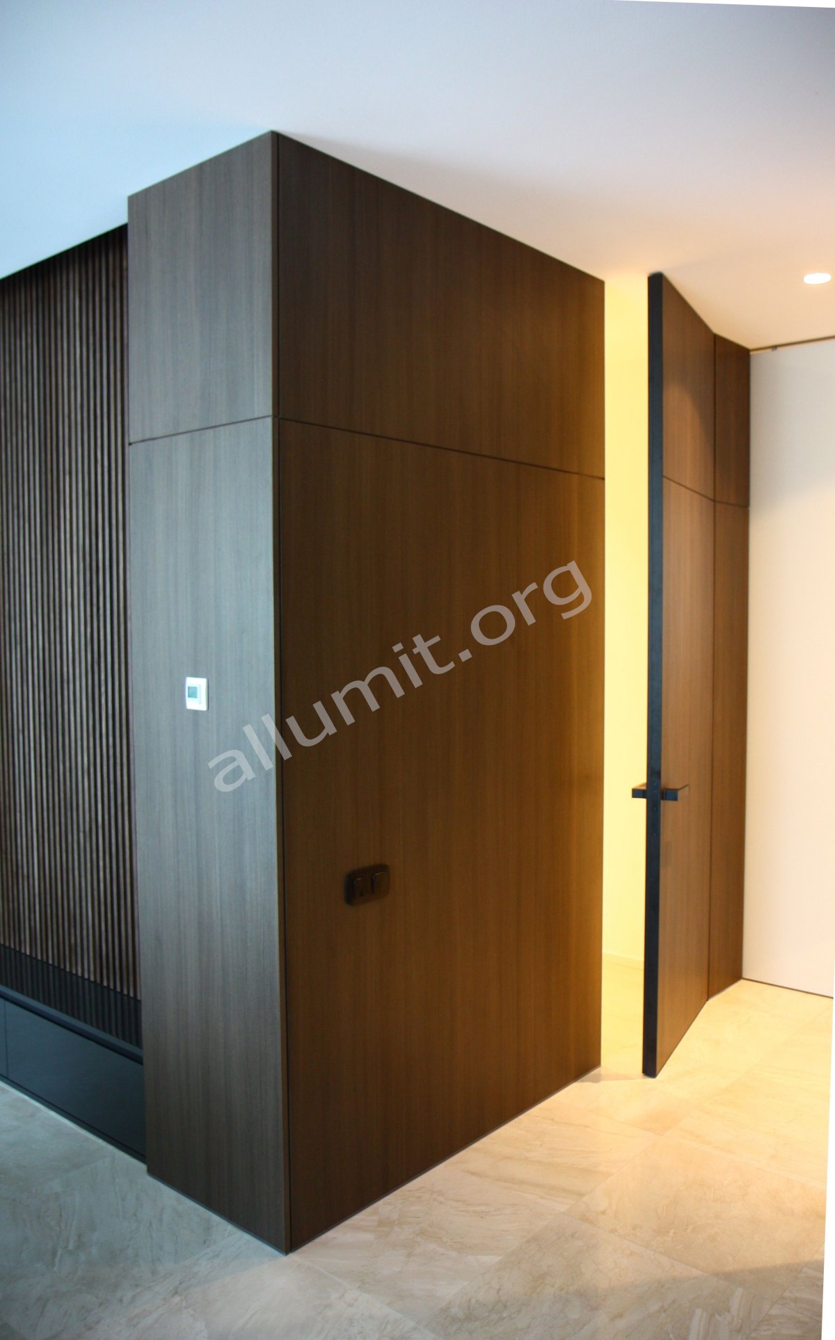 Стеновая панель с дверью